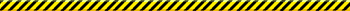 Processing Zip File